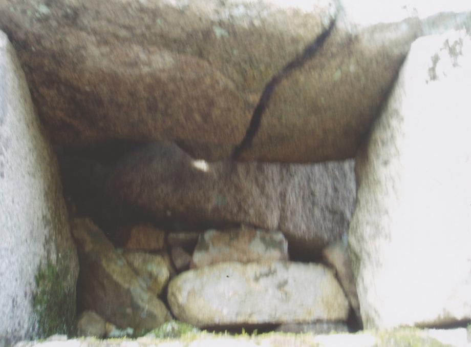 충주 미륵리 석조여래입상이미지