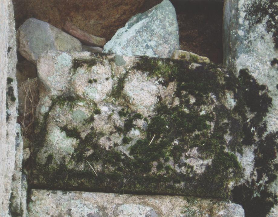 충주 미륵리 석조여래입상이미지