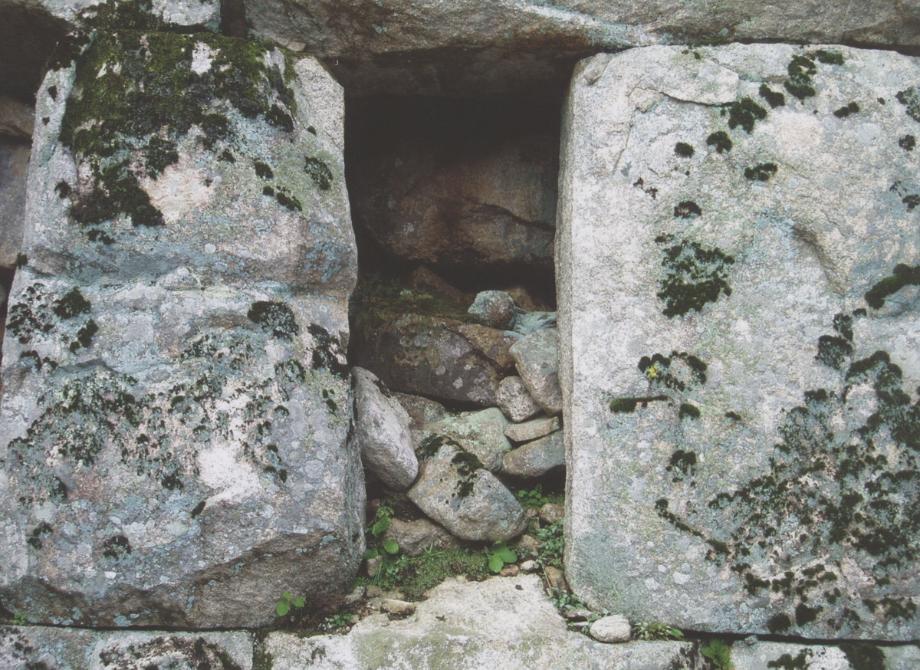 충주 미륵리 석조여래입상이미지
