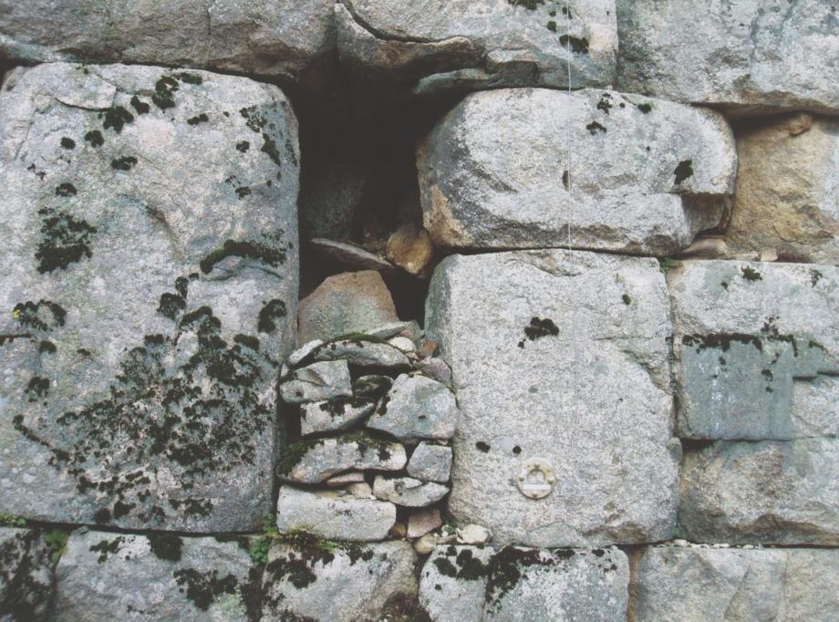 충주 미륵리 석조여래입상이미지