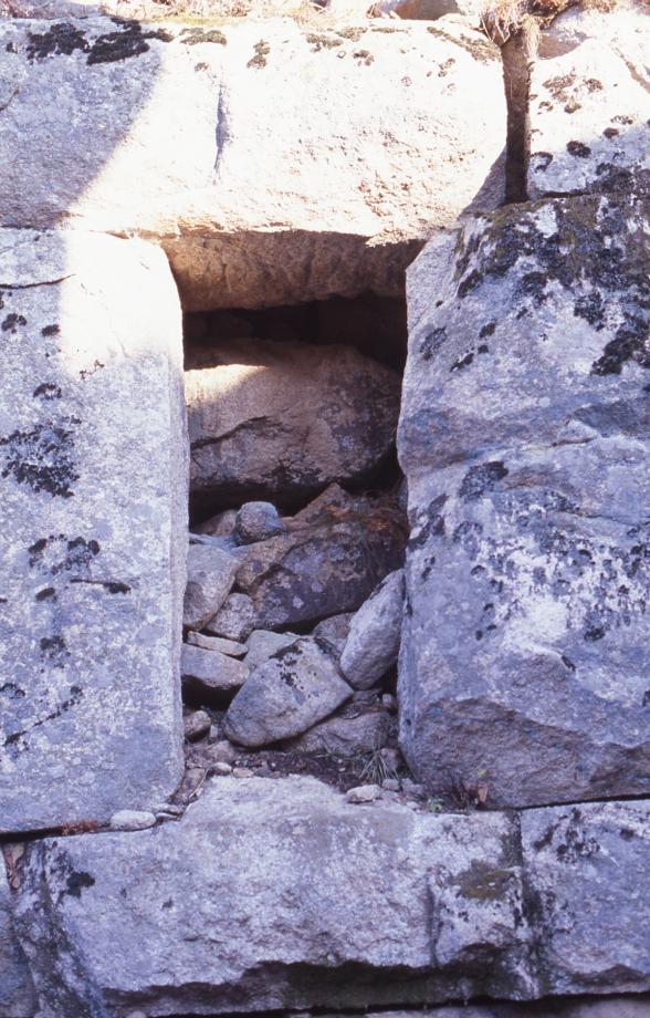 충주 미륵리 석조여래입상이미지