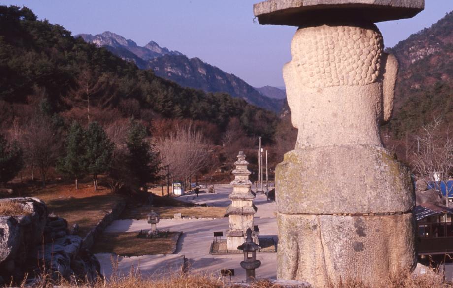 충주 미륵리 석조여래입상이미지
