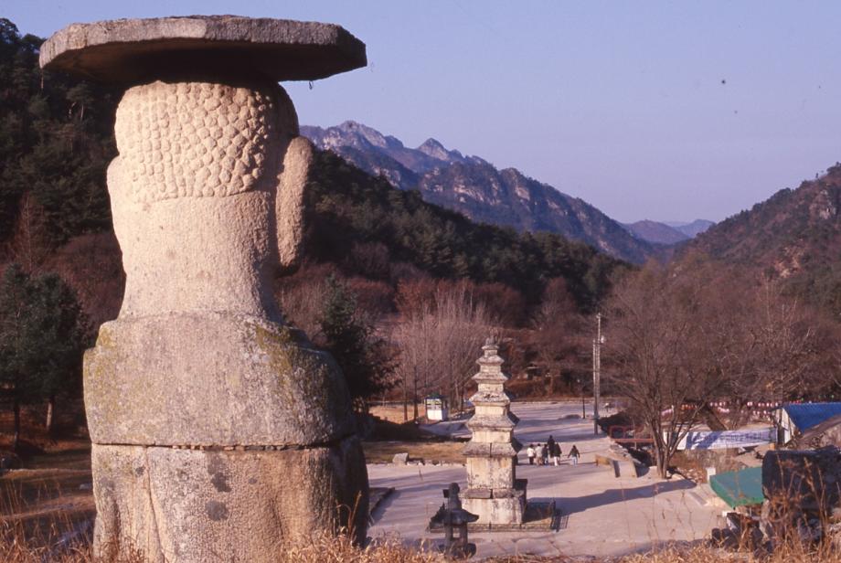 충주 미륵리 석조여래입상이미지