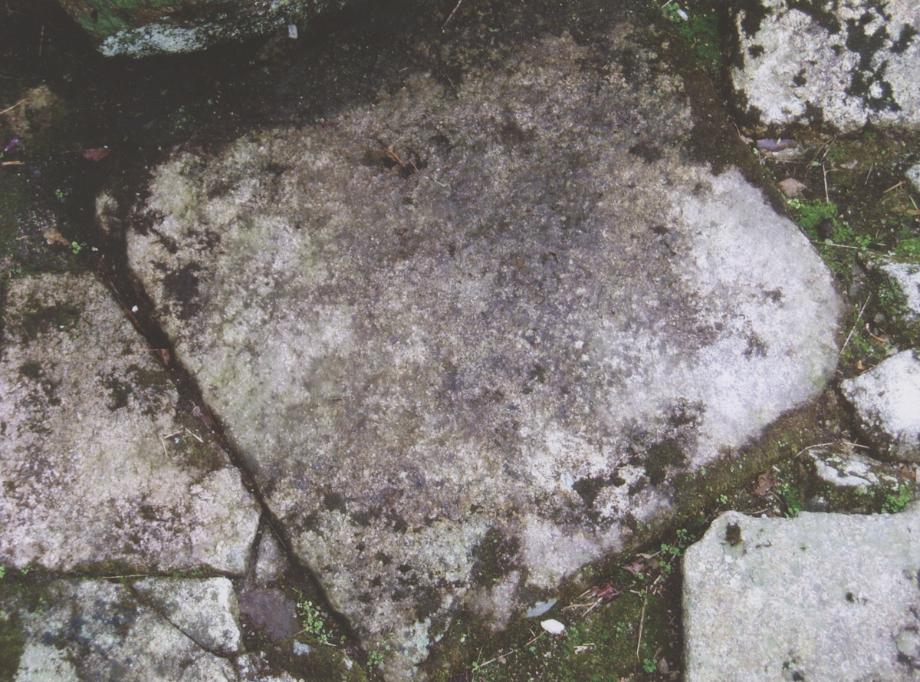 충주 미륵리 석조여래입상이미지