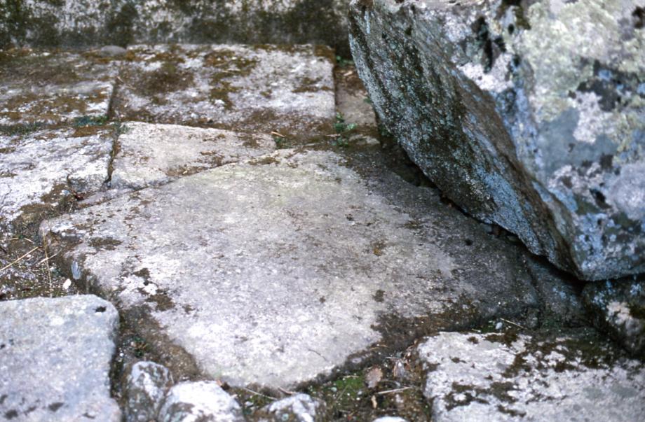 충주 미륵리 석조여래입상이미지