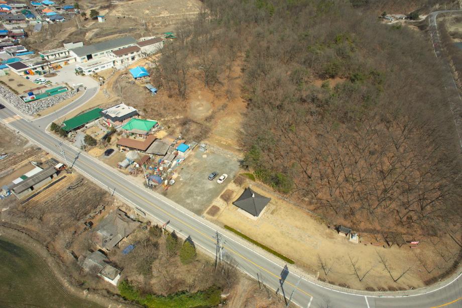 충주 탑평리 칠층석탑이미지