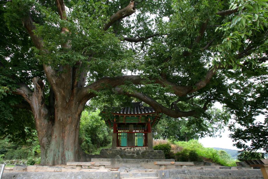 문화재대관