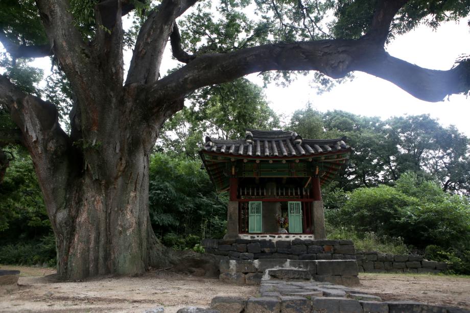 문화재대관