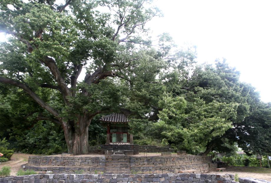 문화재대관