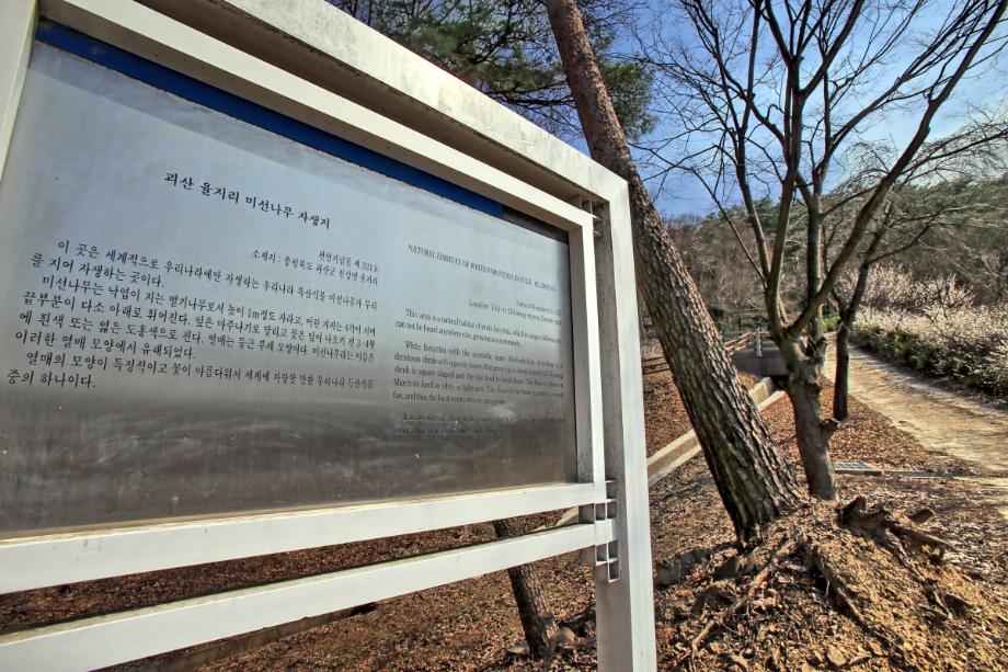 문화재대관