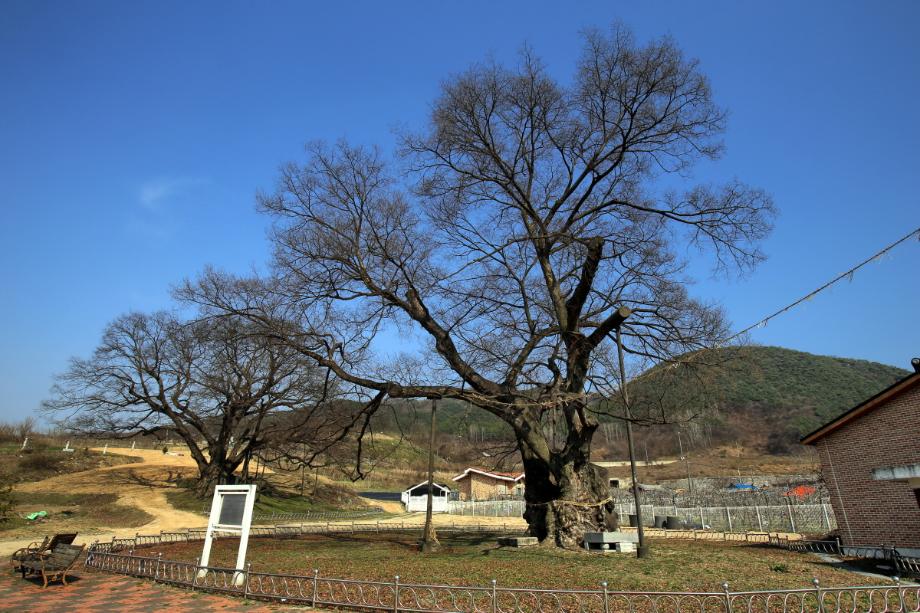 문화재대관