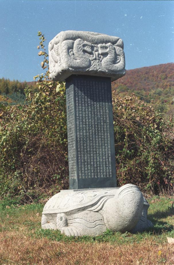 진천 이거이 묘소이미지