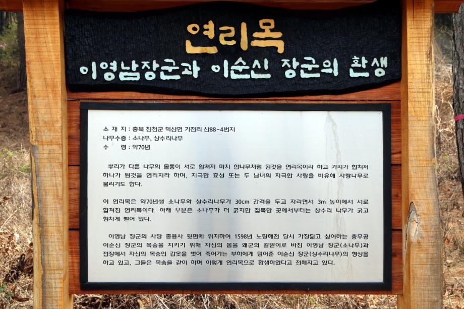 문화재대관