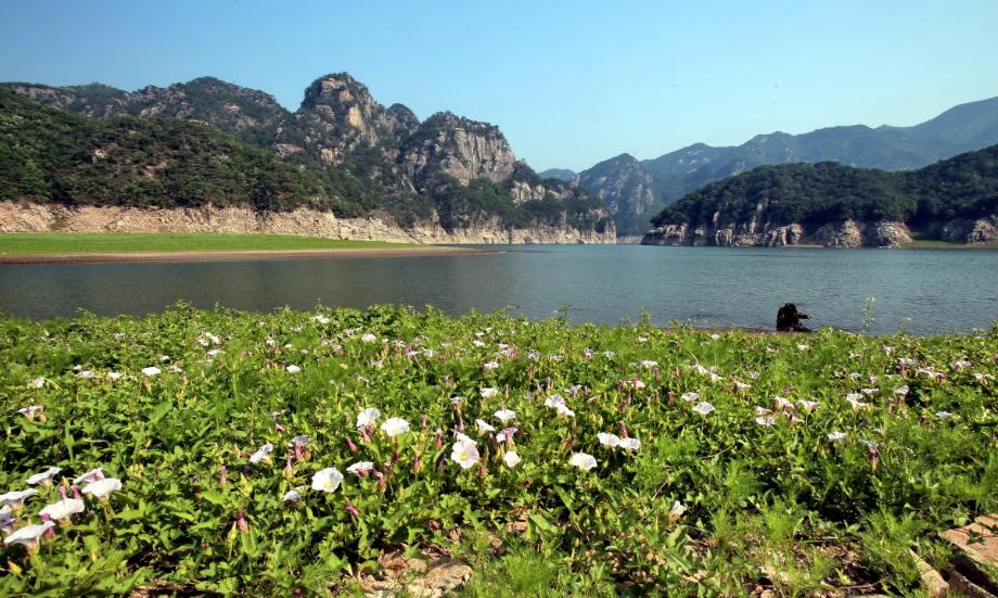문화재대관