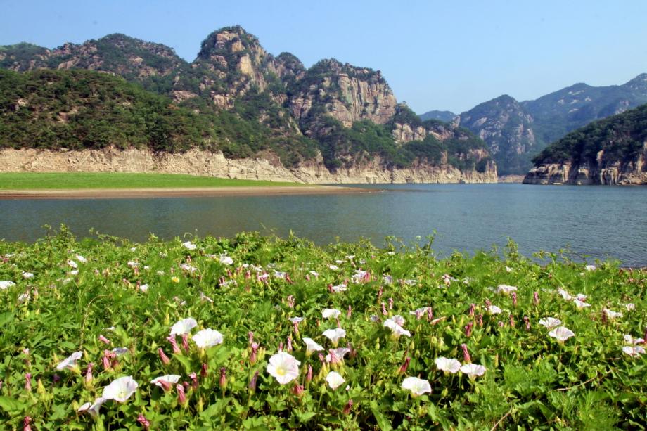 문화재대관