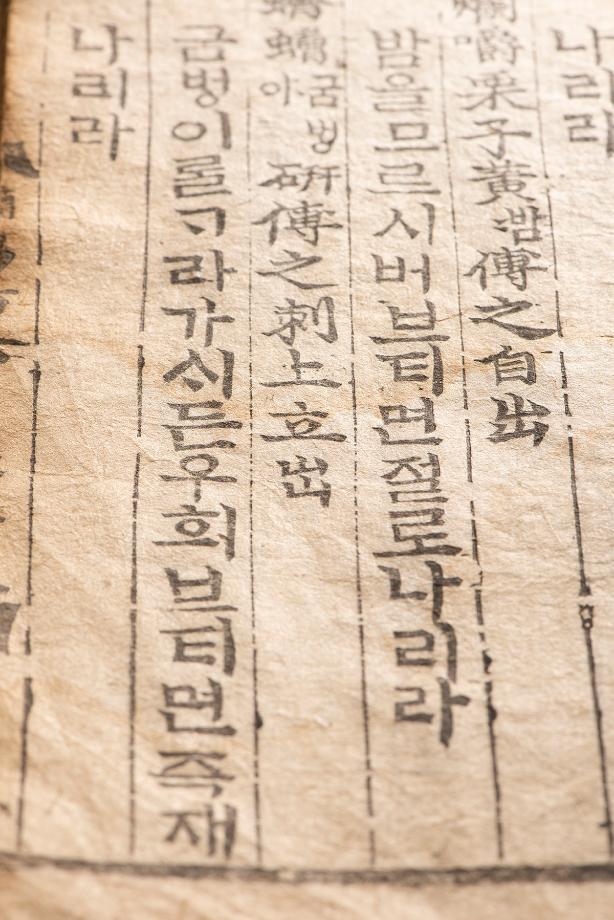문화재대관