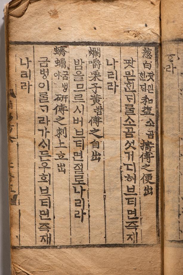 문화재대관