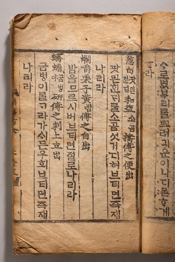 문화재대관