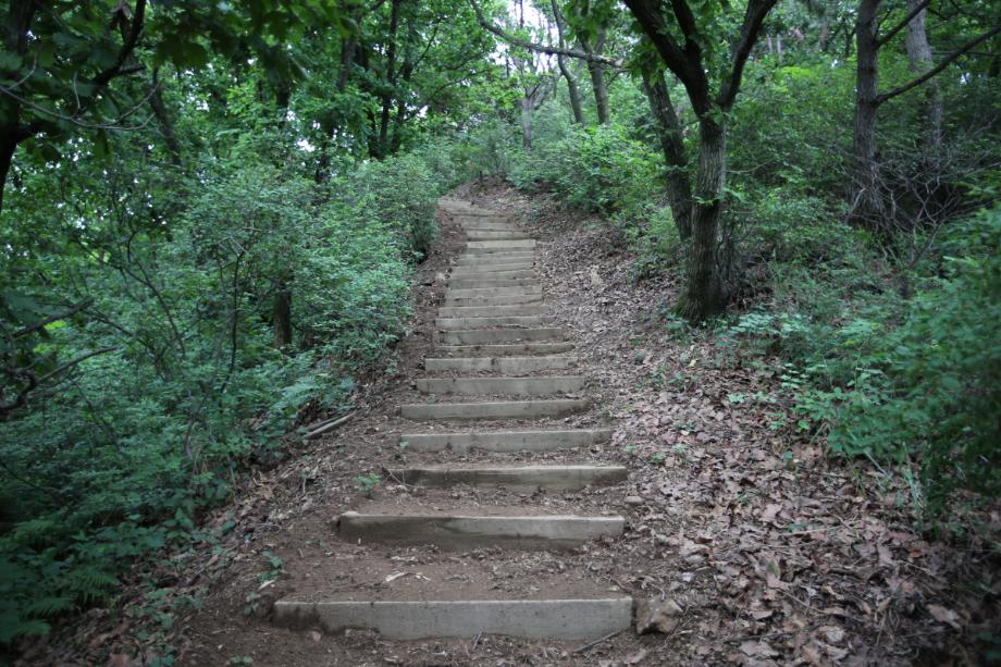 문화재대관