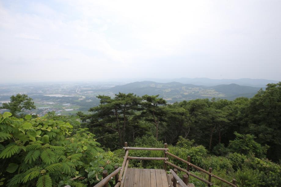 문화재대관