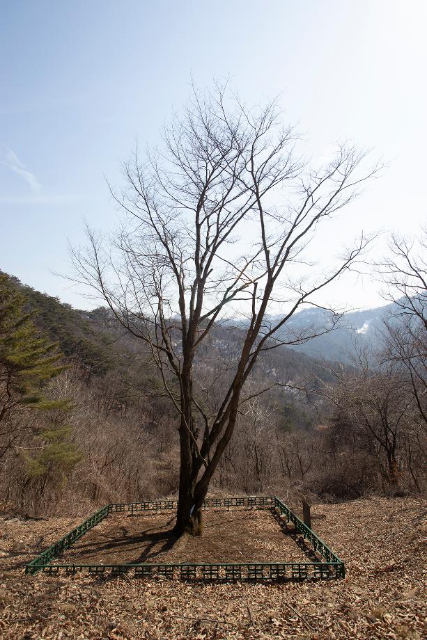 문화재대관