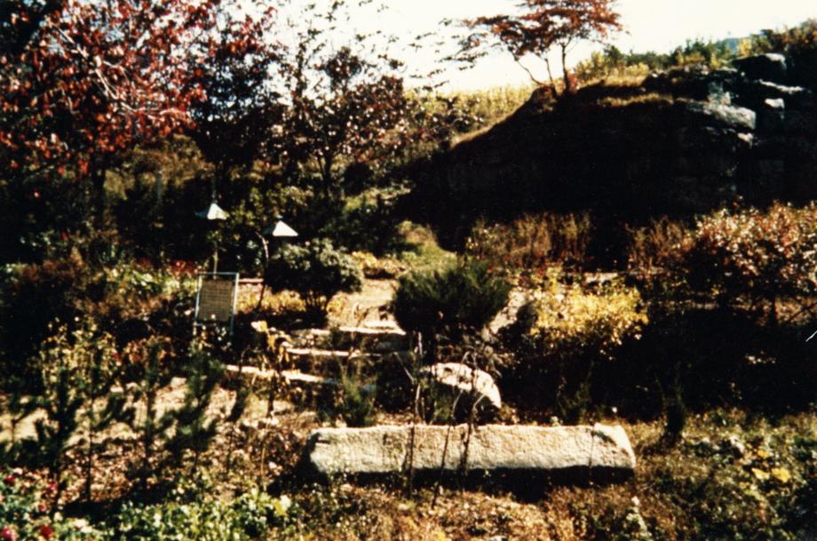 충주 미륵대원지이미지