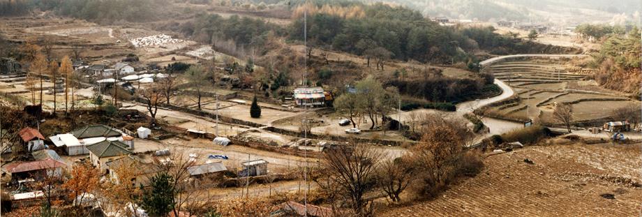 충주 미륵대원지이미지