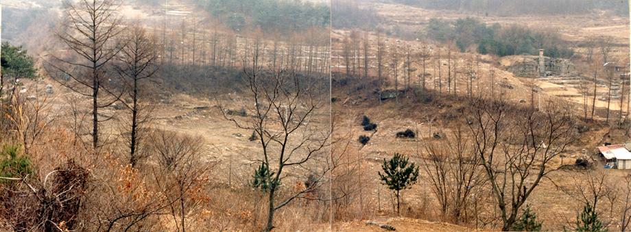 충주 미륵대원지이미지