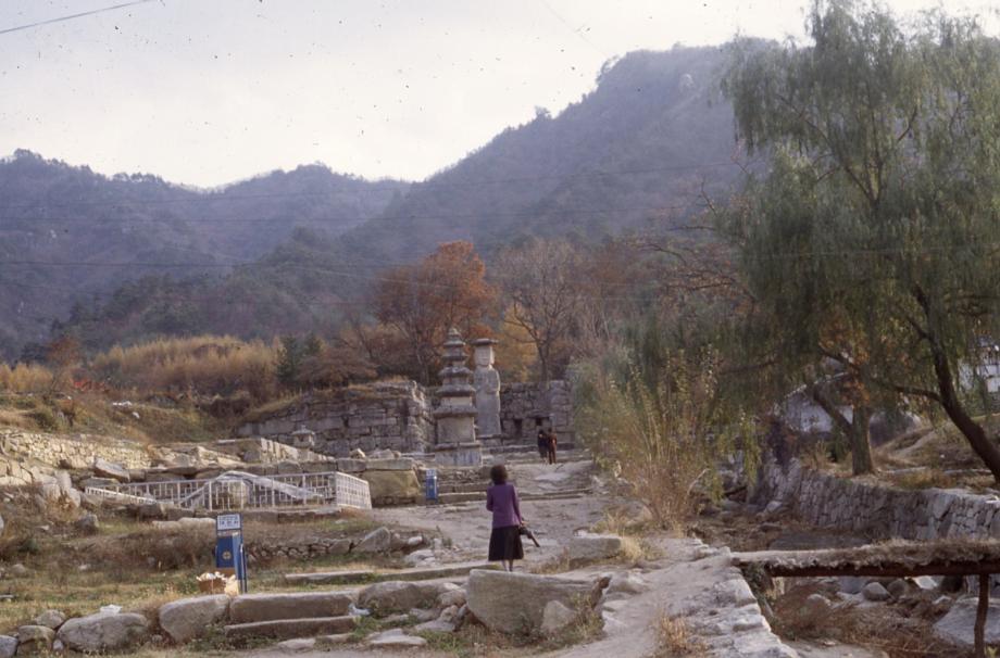 충주 미륵대원지이미지