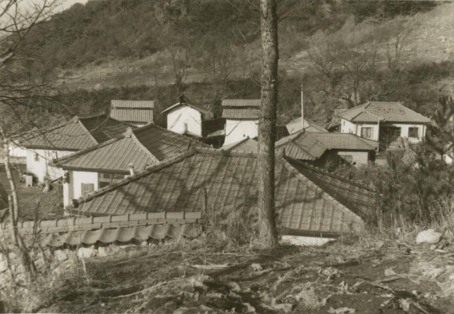 충주 미륵대원지이미지