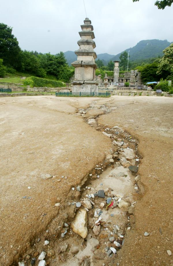 충주 미륵대원지이미지