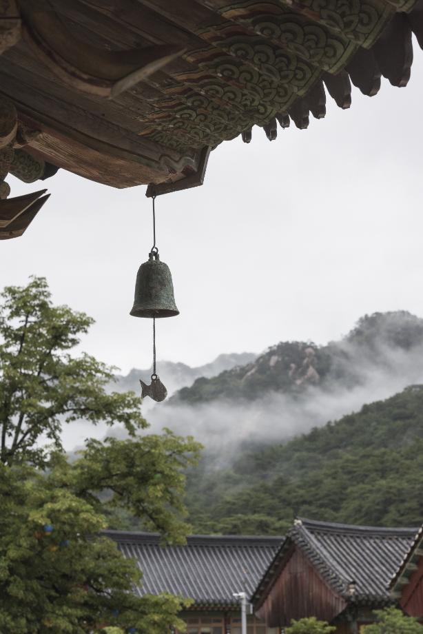 문화재대관