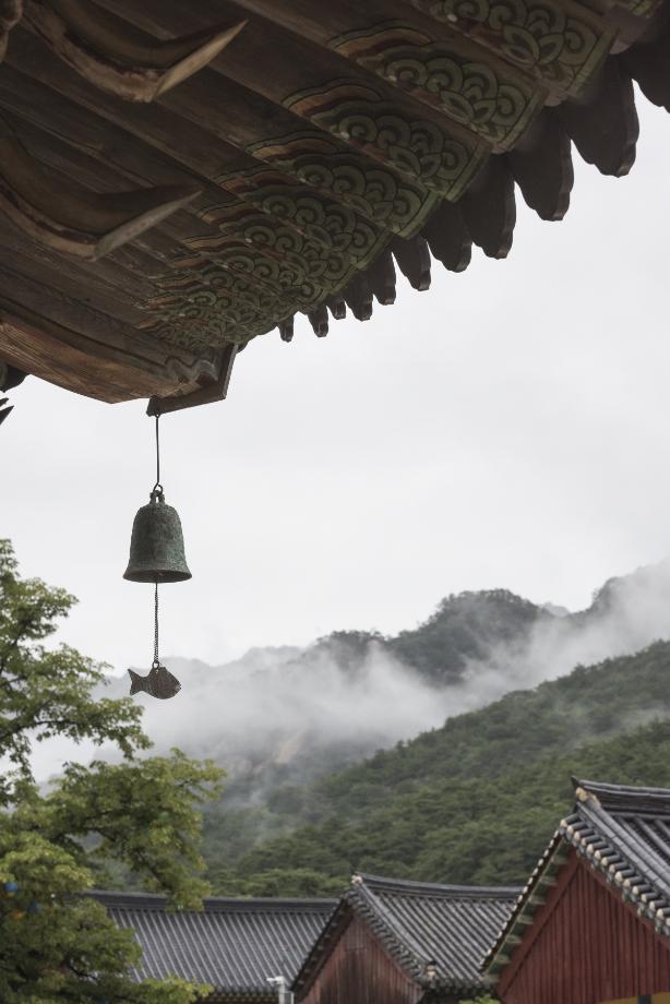 문화재대관