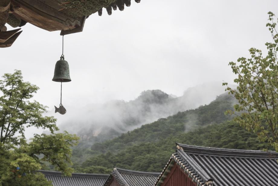 문화재대관