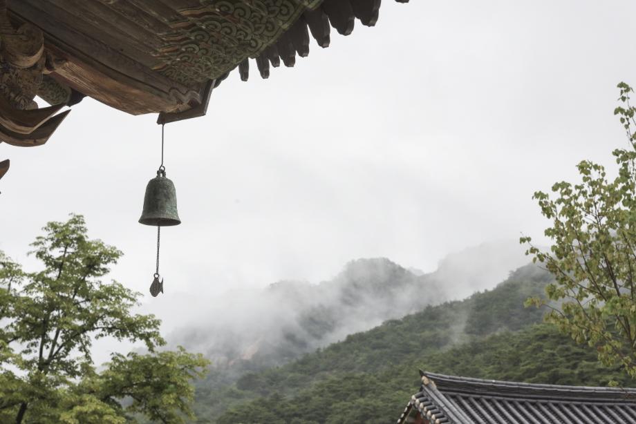 문화재대관
