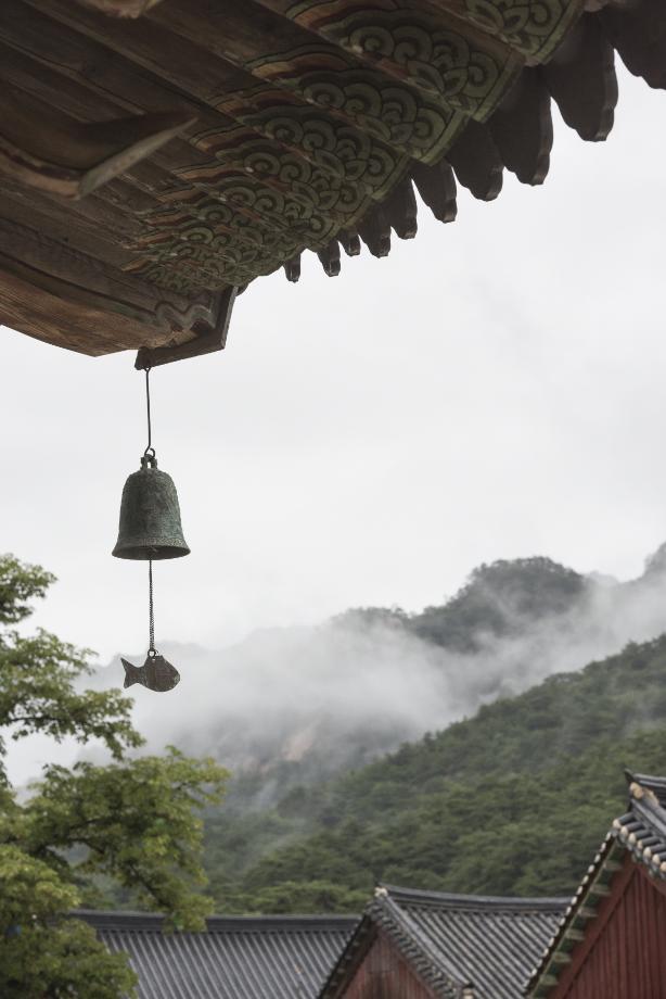 문화재대관