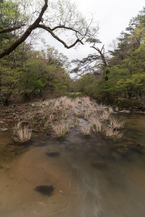 문화재대관