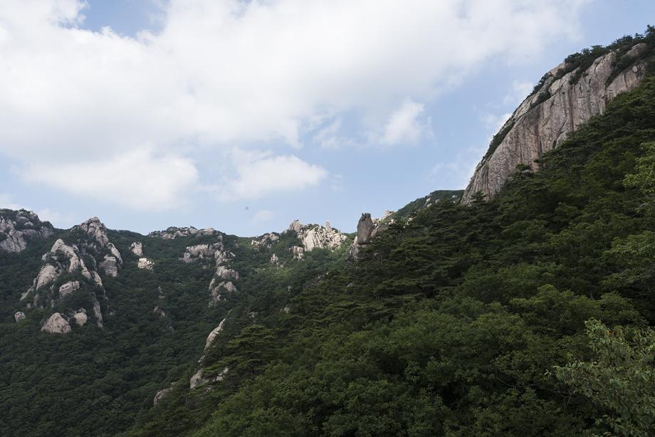 문화재대관