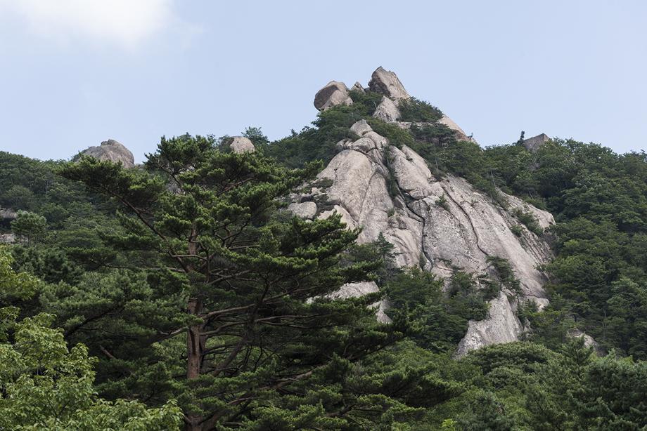 문화재대관