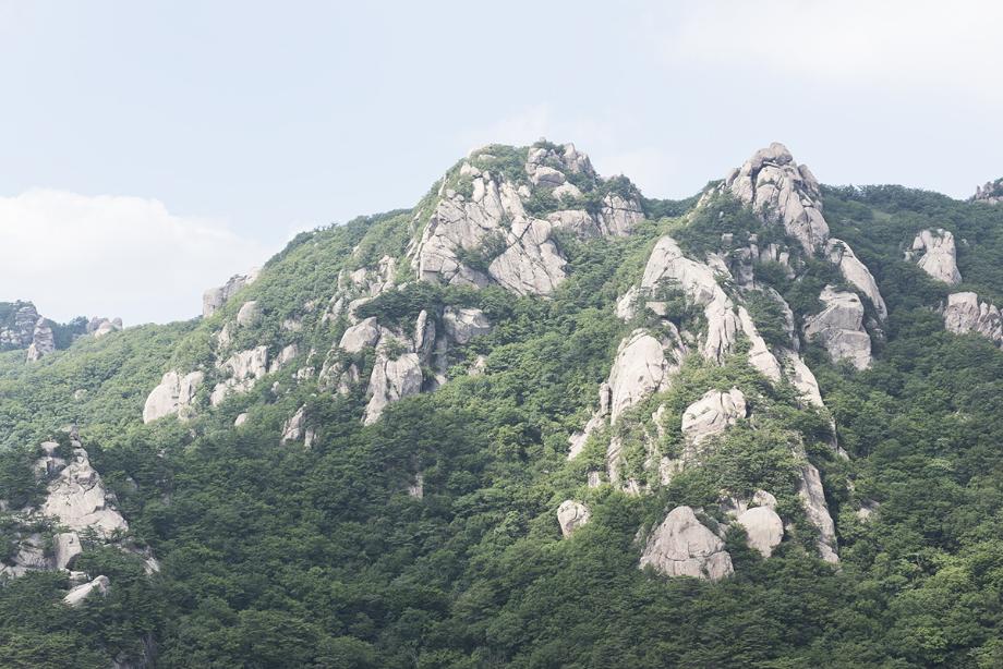 문화재대관