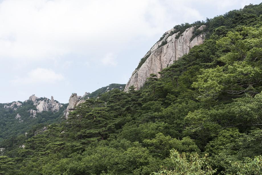 문화재대관
