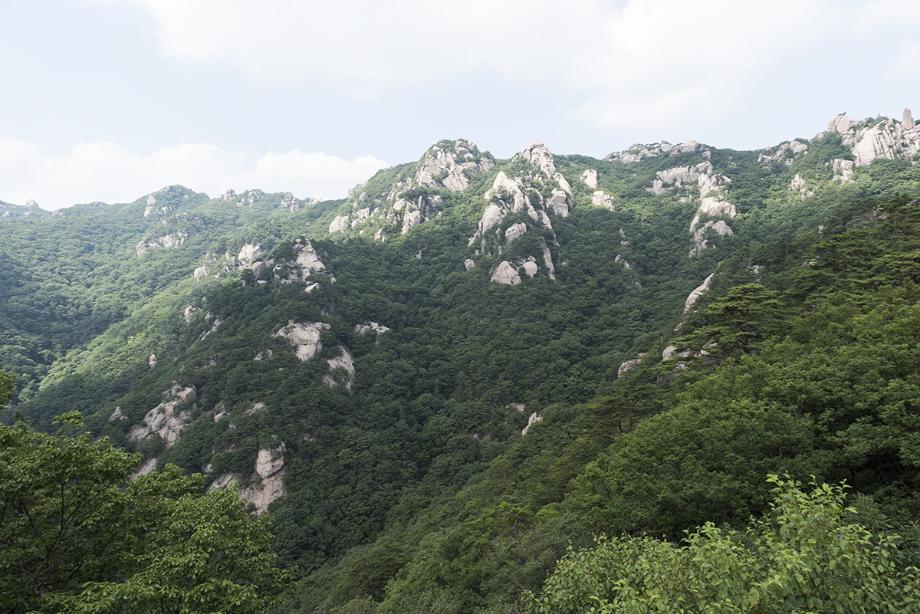 문화재대관