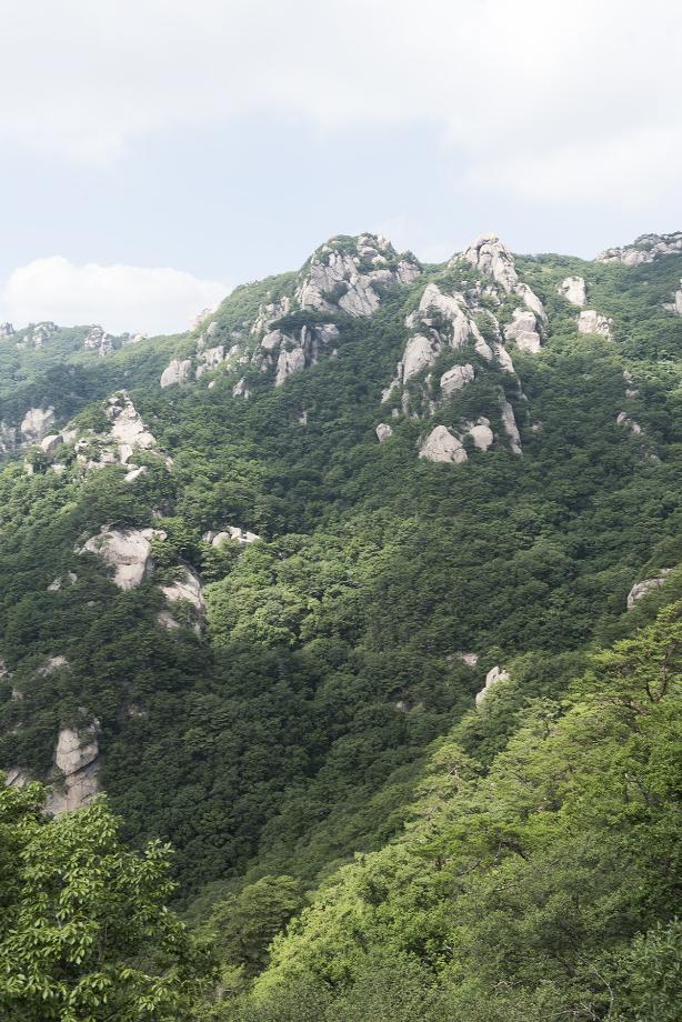문화재대관