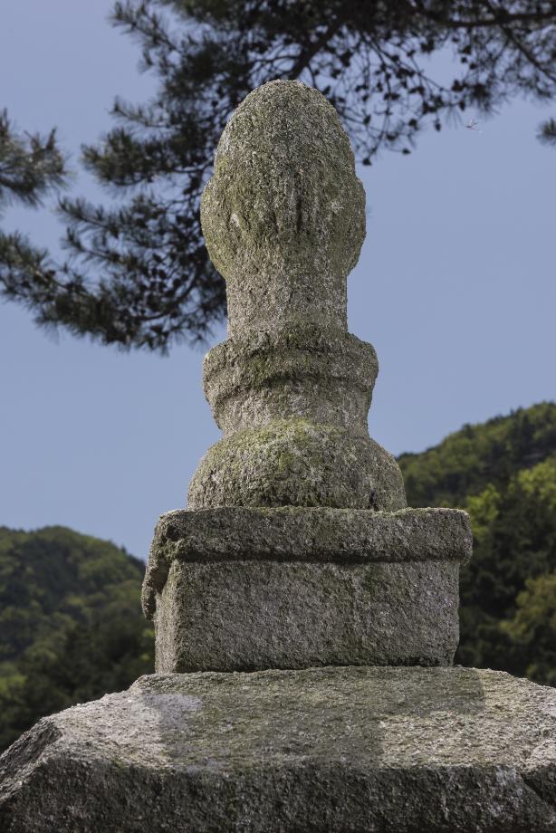 문화재대관