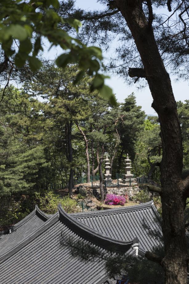 문화재대관