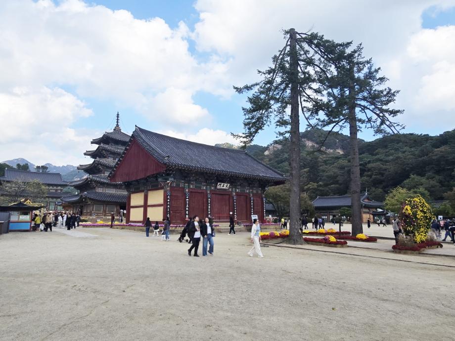 충북 국가유산 사진