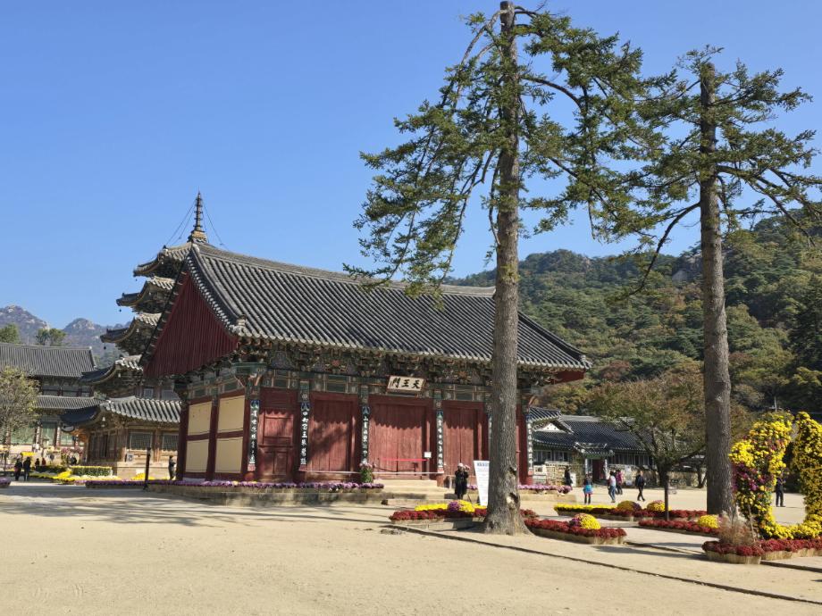 충북 국가유산 사진