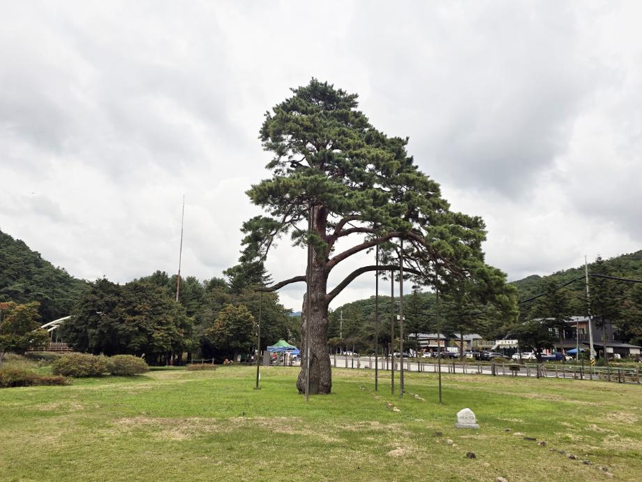 충북 국가유산 사진