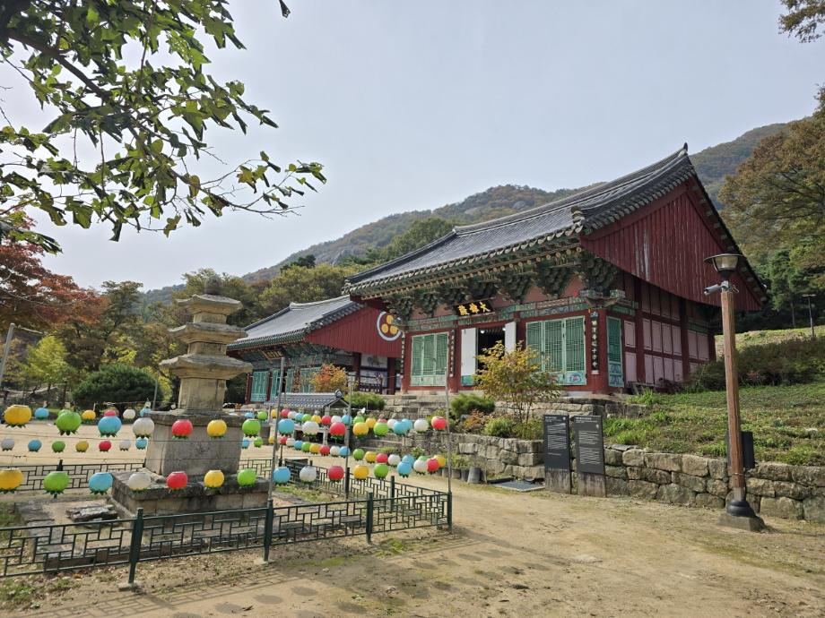 충북 국가유산 사진