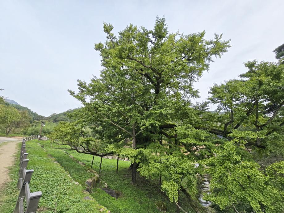 충북 국가유산 사진